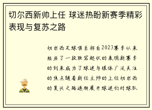 切尔西新帅上任 球迷热盼新赛季精彩表现与复苏之路